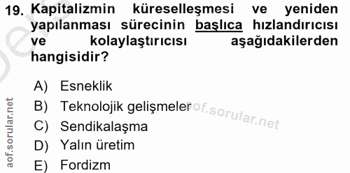 Soru 19