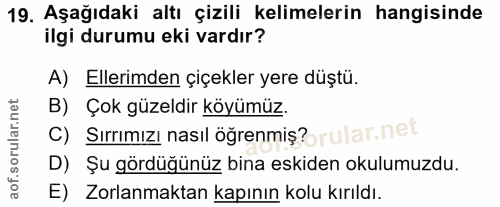 Soru 19