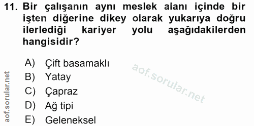 Soru 11