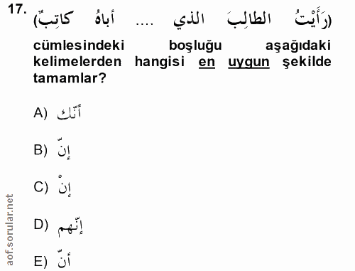 Soru 17