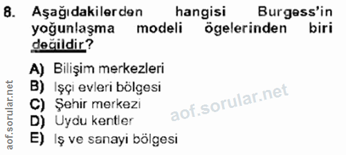 Soru 8