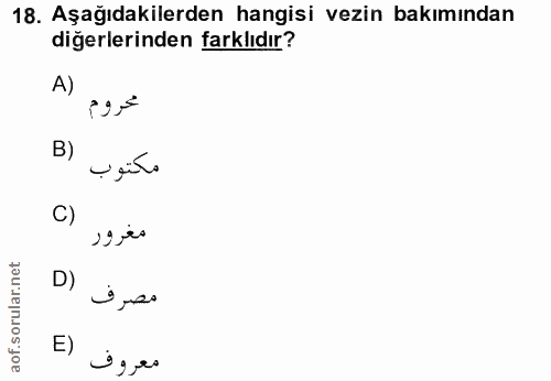 Soru 18