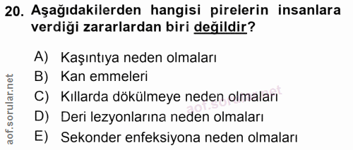 Soru 20
