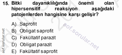 Soru 15