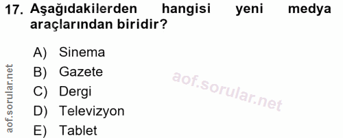 Soru 17