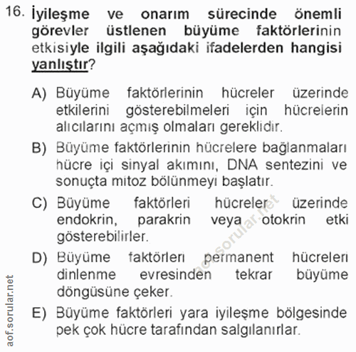 Soru 16