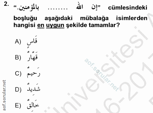 Soru 2