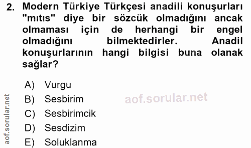 Soru 2