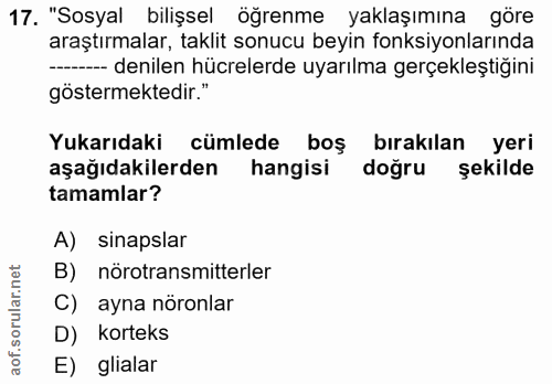 Soru 17