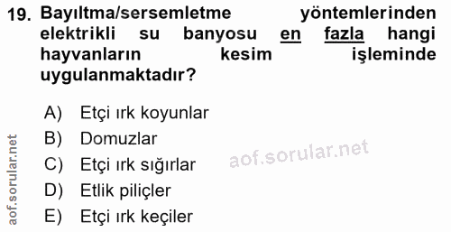 Soru 19