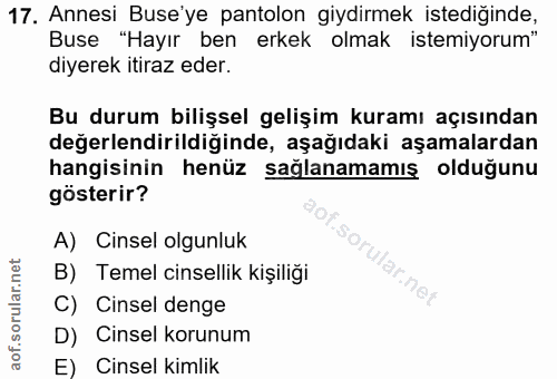 Soru 17