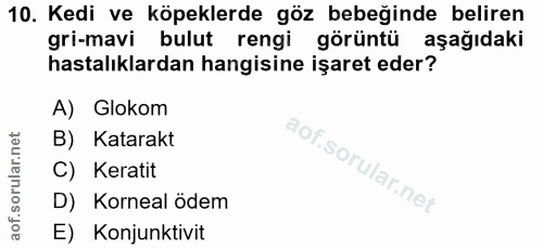 Soru 10