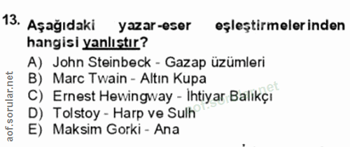 Soru 13