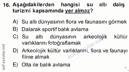 Soru 16