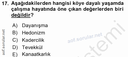Soru 17