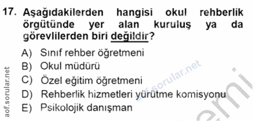Soru 17