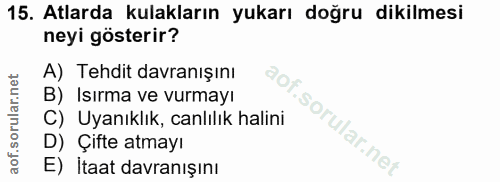 Soru 15