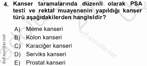 Soru 4