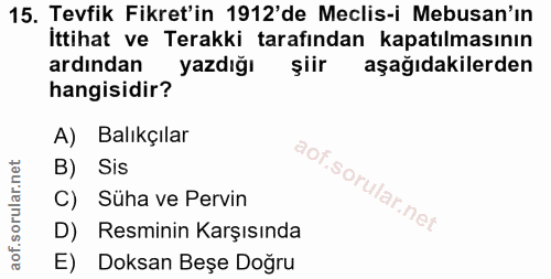 Soru 15