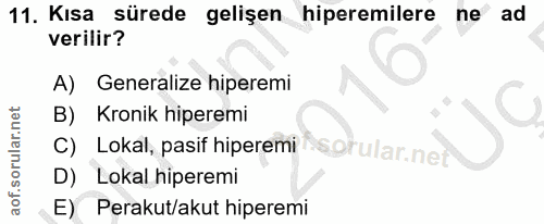 Soru 11