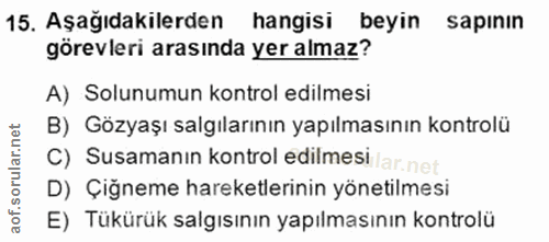 Soru 15
