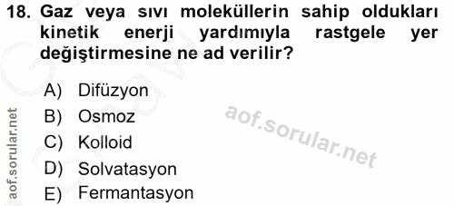 Soru 18