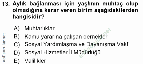 Soru 13