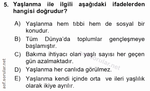 Soru 5