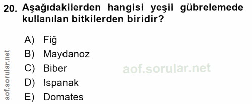 Soru 20