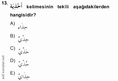 Soru 13