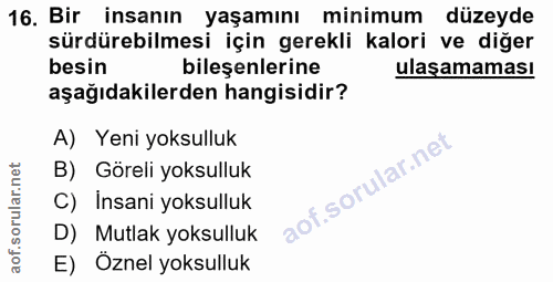 Soru 16