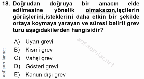Soru 18