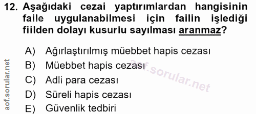 Soru 12
