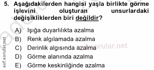 Soru 5