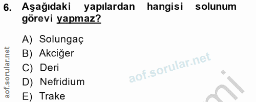 Soru 6