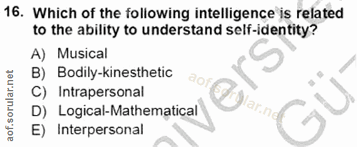 Soru 16