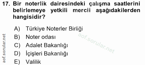 Soru 17