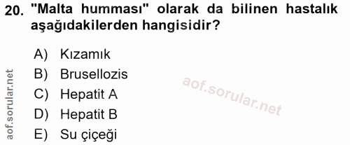 Soru 20