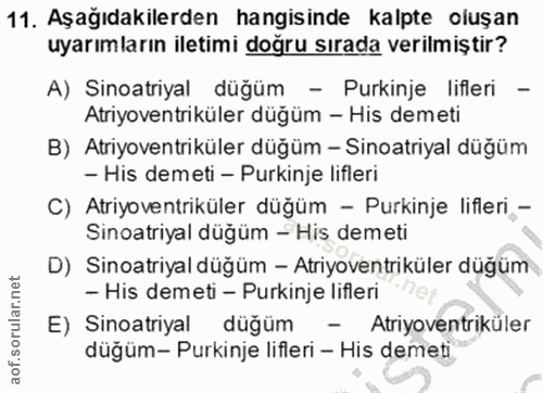 Soru 11