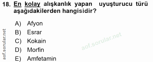 Soru 18