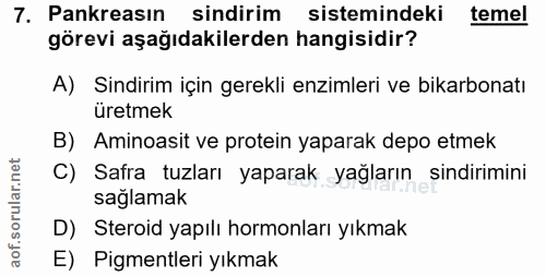 Soru 7