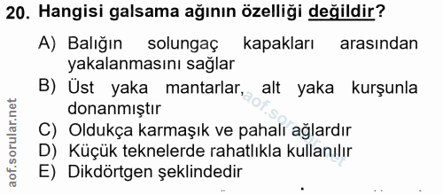 Soru 20