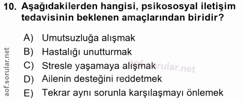 Soru 10