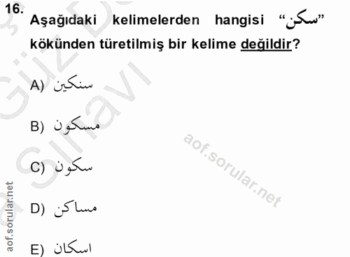 Soru 16