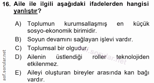 Soru 16