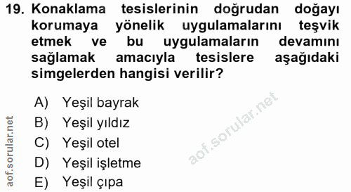 Soru 19