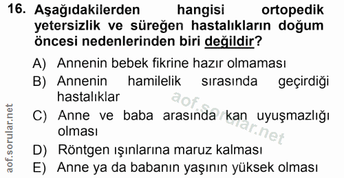 Soru 16