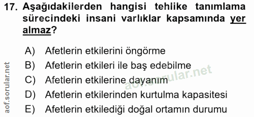 Soru 17