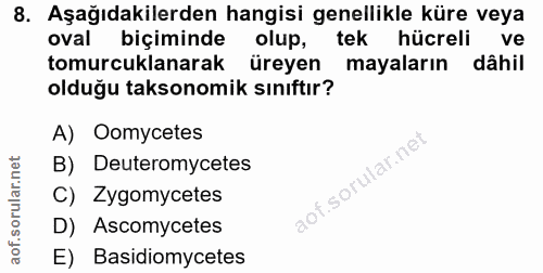 Soru 8
