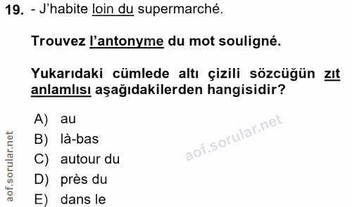 Soru 19